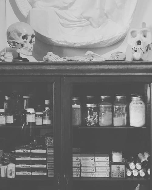 Pigment and bones: the painter’s breakfast (at Village of Cornwall on Hudson)