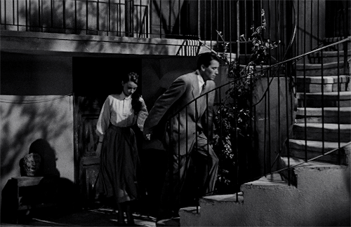 gregory-peck:Roman Holiday (1953) dir. William Wyler