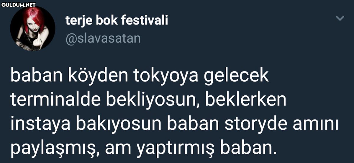 terje bok festivali...