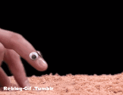 reblog-gif:  http://reblog-gif.tumblr.com/