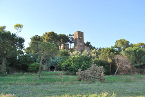  Torre di Pratolungo ( Settecamini - Agro Romano - Roma) by justdog.it