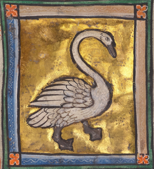 thegetty:A Hoopoe, Goose, Partridge, Peacock, Heron, Caladrius Bird, Phoenix, Night Heron, and Swan 