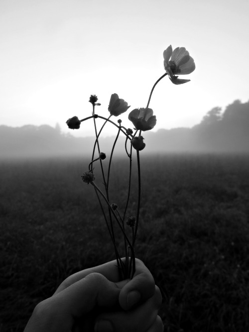 greyscale-pictures:  louisana.tumblr.com/ direct link: http://louisana.tumblr.com/post/87010143933 