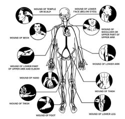 taichi-kungfu-online:  Survival Tips For