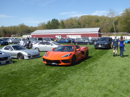 fromcruise-instoconcours:Here’s a few highlights from what came immediately before the Pagani takeov