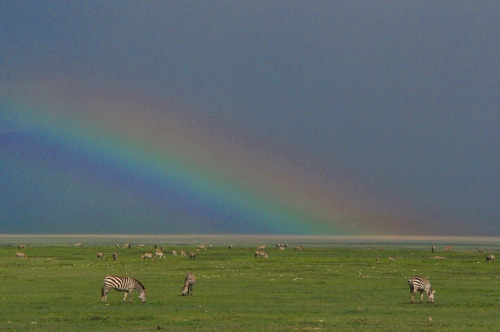 Pot of gold by kibuyu in Africa