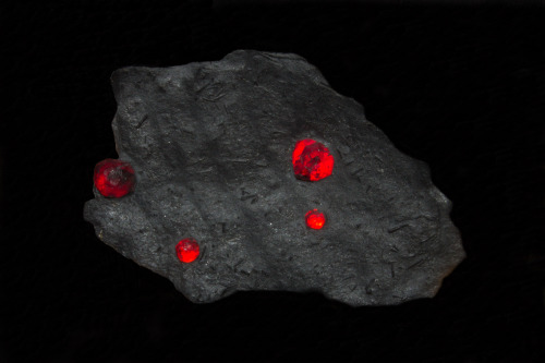 Red Almandine/pyrope Garnet And Black Dravite Tourmaline On Graphite Matrix From The Red Embers Mine