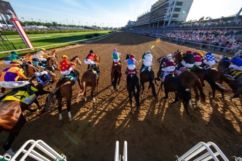 thekimdelacreme: Medina Spirit - Kentucky Derby winner!