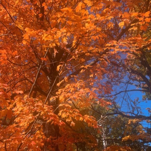 Aki's My Favorite Boy And Autumn Is My Fav Season. What Are The Odds