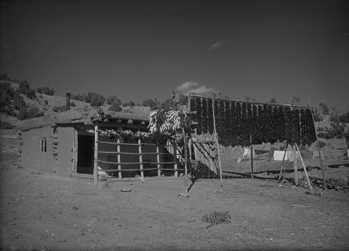 Chile ristras drying at the summer home of Jose Dolores Lopez, Cordova, New MexicoDate: 1930 - 1935?