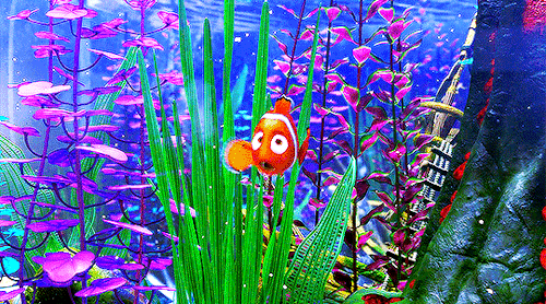 optional:Finding Nemo (2003) Dir. Andrew Stanton