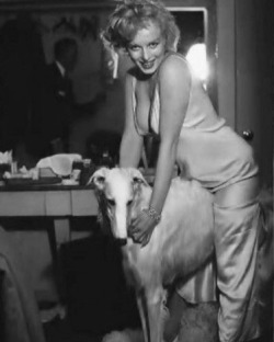 Sex happyheidi:Marilyn Monroe + Borzoi’s <3 pictures