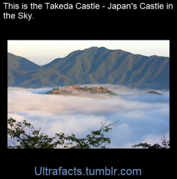 ultrafacts:  Takeda Castle is special because of the breathtaking view it presents on autumn mornings (between sunrise and 8 am). That’s when a thick mist hangs over the sky because of a sharp drop in overnight temperatures. The effect created by the
