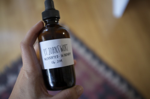 Summertime Folk Tincture of St. John’s Wort Here is a post we did for Free People! We are quit