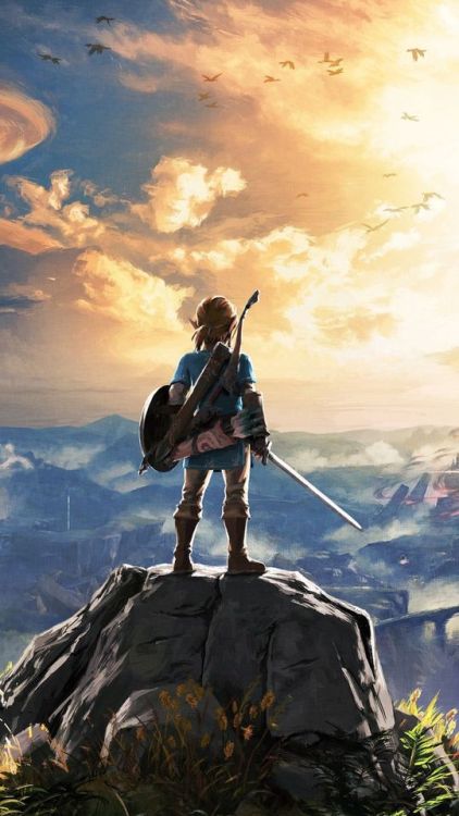 The Legend of Zelda: Breath of the Wild, 2017 game, Link, warrior, 1080x1920 wallpaper @wallpapersmu