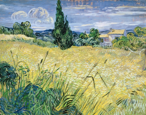 goodreadss:Landscape with Green Corn, Vincent van Gogh (1889)Vineyards at Auvers, Vincent van Gogh (