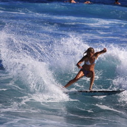 surfing-girls:  Surf Girl http://girls-surf-too.blogspot.com/