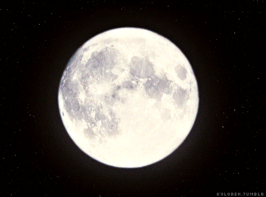 b7203b073a8ce2a1a4c8974094788274a31b1681.gif