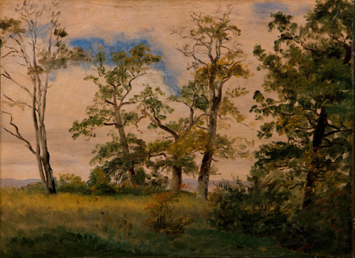 Landscape with Free-Standing Trees, Dankvart Dreyer (1816-1852)