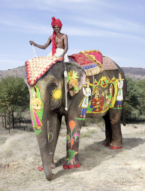 Painted Elephants (2013), by Charles Fréger.