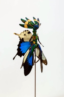 asylum-art:  Cedric Laquieze: Fairies Sculptures  &ldquo;A new army of fairies for 2014&rdquo;   Amsterdam-based sculptor Cedric Laquieze decorates real cat and dog skeletons with colorful fake flowers to create some of the insect sculptures you’ve