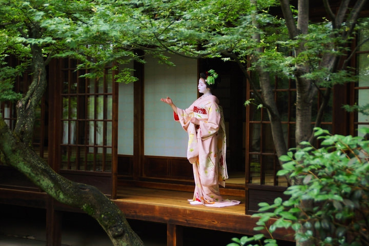 yuikki:   	京都の花（ふく朋さん） by Nobuhiro Suhara 