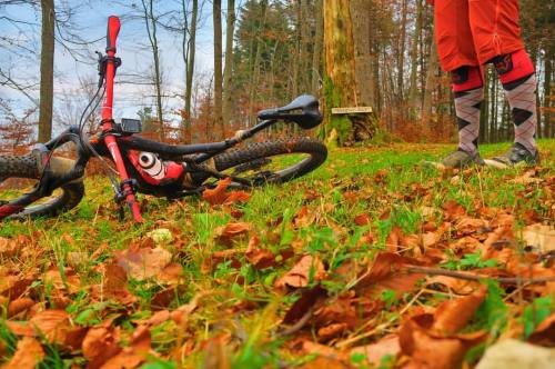 74-ant-ma:was kommt nach dem #blackfriday ? #karosamstag passt #canonpowershotg7x #hdr #merinosocks 