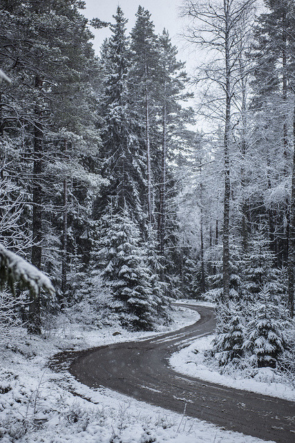 snowskog by mtern on Flickr.