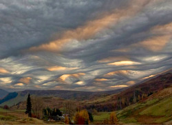 sixpenceee:  These undulatus asperatus clouds were spotted over Scotland. 