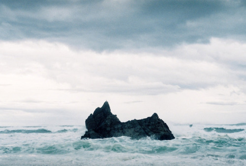 untrustyou:  Rhi Ellis
