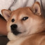 lokid-byasuperwholockain-blog