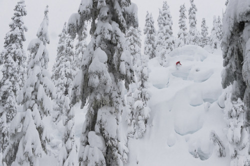 Missing winter a whole lot right so here’s @leannepelosi filming for Listen to the Eyes. Watch the f