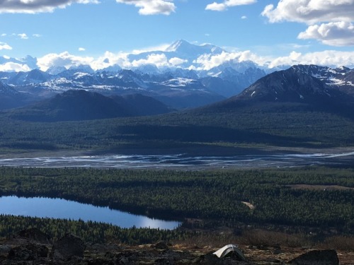 Kesugi RidgeDenali State Park, AKShot up to Denali to try and chase the Spring weather in AK. The fi