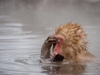 melonboyy:  *reads a post n has something to say* *remembers replies are gone* 