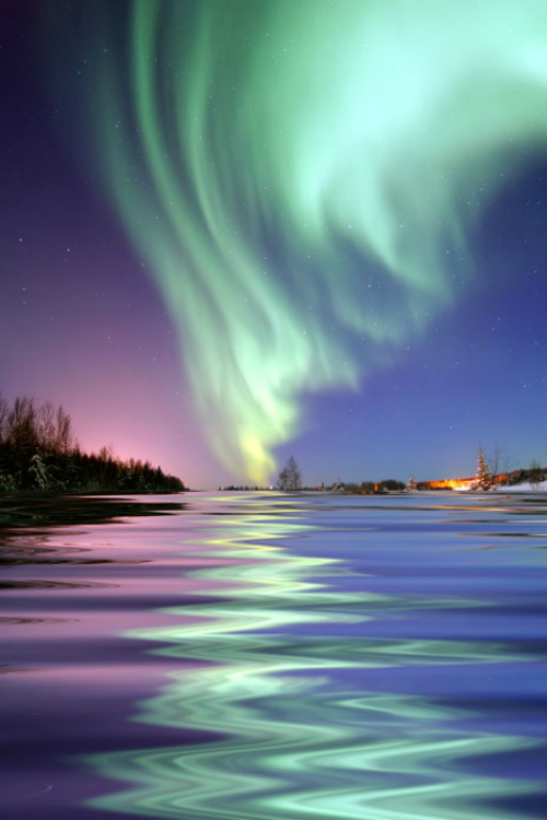tulipnight:  Aurora Borealis, the colored lights seen in the skies around the North