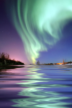 tulipnight:  Aurora Borealis, the colored