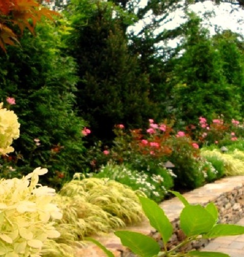 Traditional Landscape In Boston
