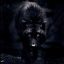 hungrybbcwolf