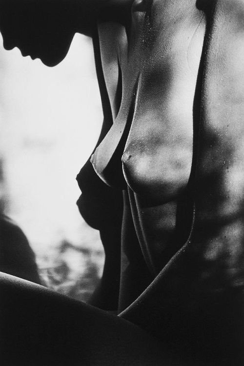 el-sr-cortez:Jeanloup Sieff. Profils. Paris. 1989