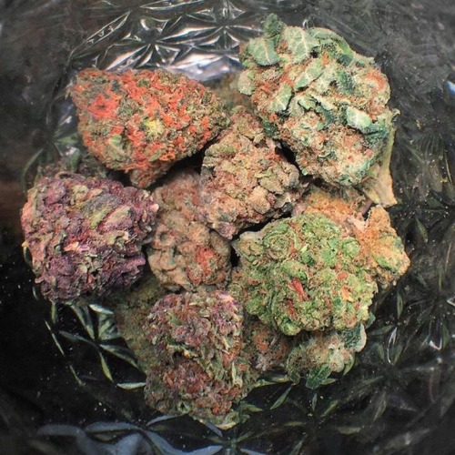 Dank Purps