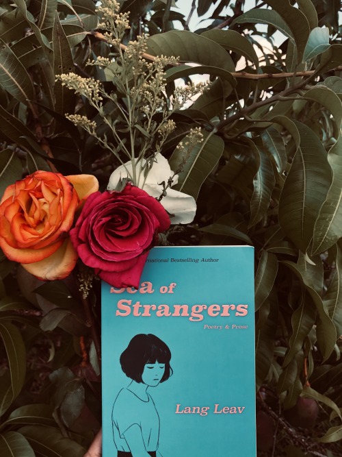 Sea of strangers