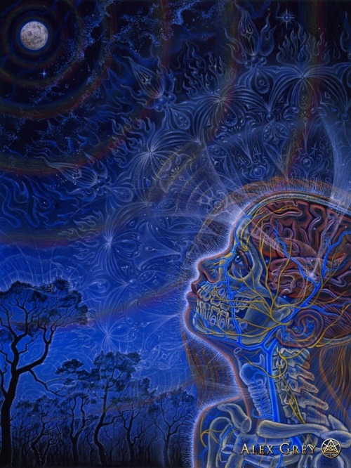 “Wonder” by Alex Grey.  His events in NYC were enlightening, too bad that center closed 