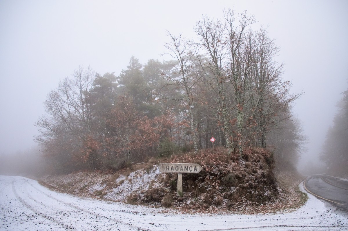 Snowy mornings like this could make someone feel like they’re not in the southwest corner of Europe. As a friend of mined named it once: “our little big north”…
Bragança, Trás-Os-Montes, Portugal 🇵🇹, February 2018 #portugal #trasosmontes