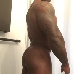 Black Ass Collection