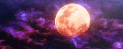 perishx:   ➳ Blood Moon  