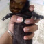 ohthecornbread