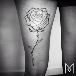 tattoofilter:  Continuous line rose tattoo on the right thigh. Tattoo artist: Mo Ganji 