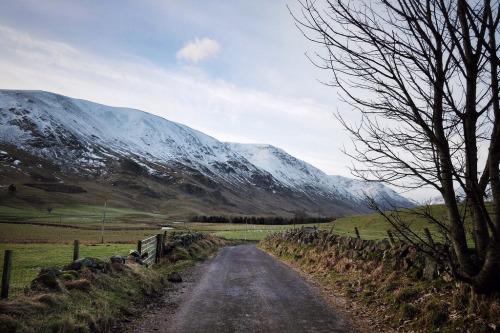 allthingseurope:Road to Glen Clova, Scotland (by Richard Boak)