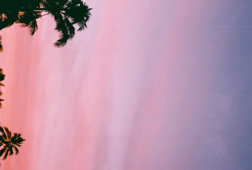 surfhawaii: sunset, film
