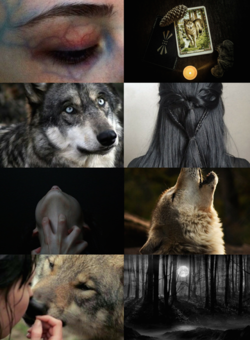 mypieceofculture: Animal Witch Aesthetics // Wolf WitchRequestedBird Witch | Snake Witch | Elephant 